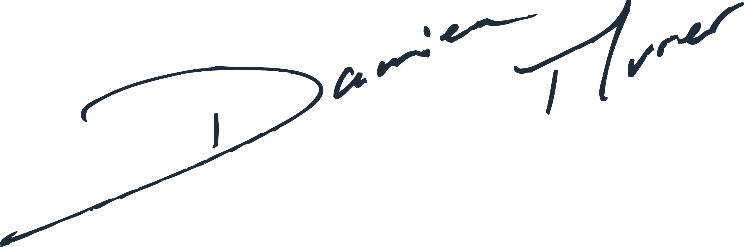Damien Murer