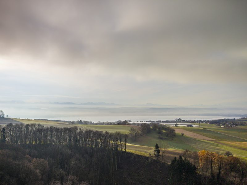 Landscapes — Damien Murer