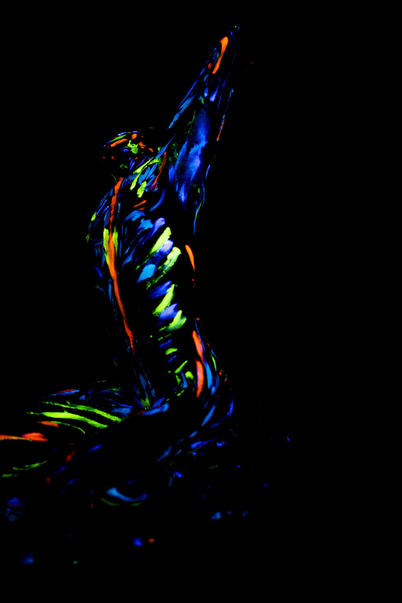 BodyPaint-18 — Damien Murer